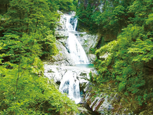 七ツ釜滝(大杉谷)(版権者:森正裕)