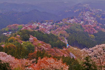 吉野熊野国立公園の写真その1
