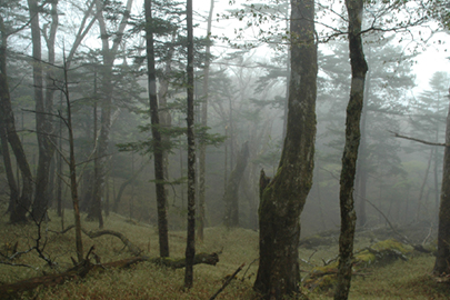 photo 3 of Yoshino-Kumano National Park