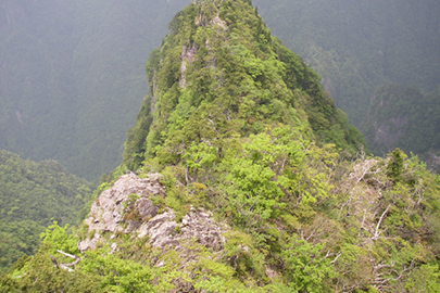 photo 7 of Yoshino-Kumano National Park