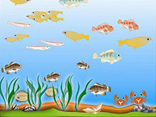 Enclosed coastal seas