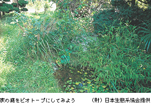 ２章３節（４）コラム　家庭でのビオトープ