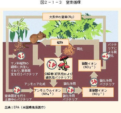 図2-1-3窒素循環