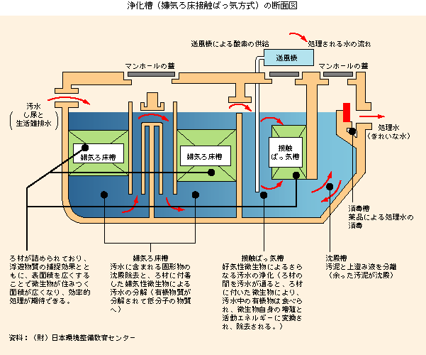 浄化槽（嫌気ろ床接触ばっ気方式）の断面図