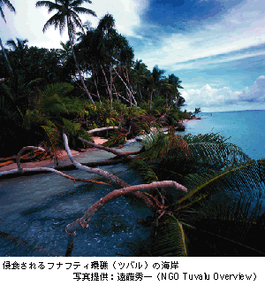 写浸食されるフナフティ環礁（ツバル）の海岸　写真提供：遠藤秀一（NGO Yubalu Overview）