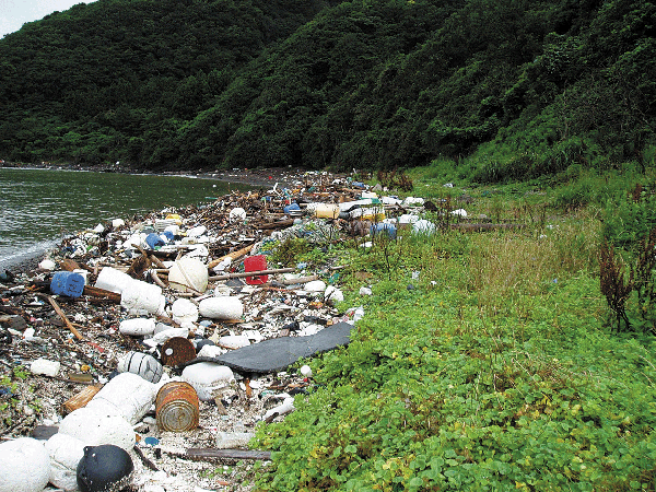 写コラム漂流漂着ごみ