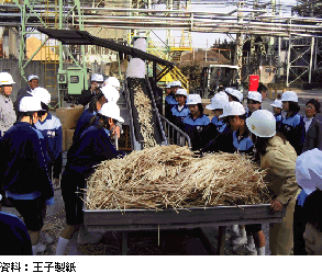 コラム写真：割り箸リサイクル