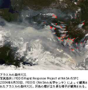 写アラスカの森林火災