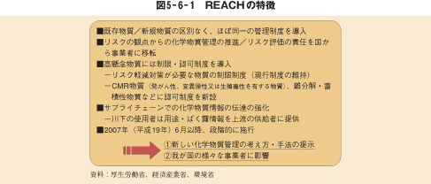 図5－6－1　REACHの特徴
