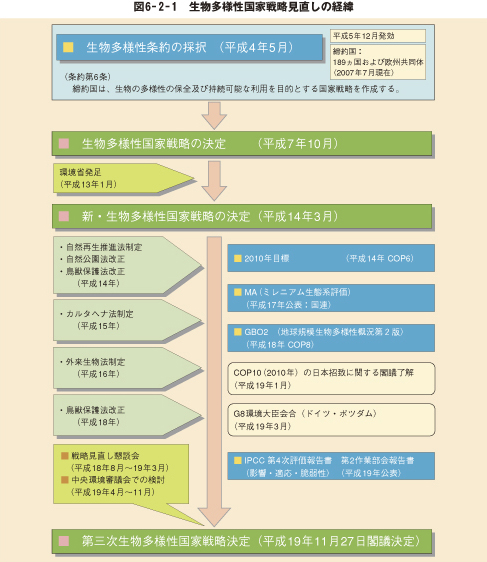 図6－2－1　生物多様性国家戦略見直しの経緯