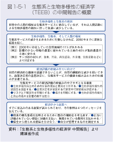 図1-5-1　生態系と生物多様性の経済学（TEEB）の中間報告の概要