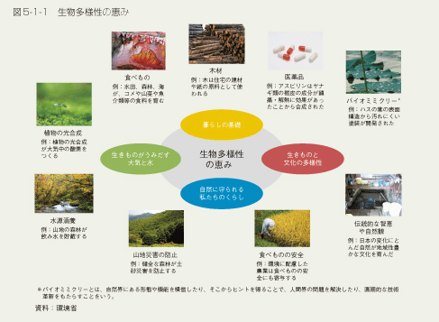 図5-1-1　生物多様性の恵み