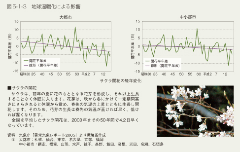 図5-1-3　地球温暖化による影響