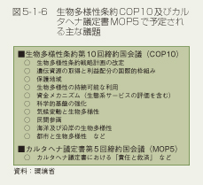 図5-1-6　生物多様性条約COP10及びカルタヘナ議定書MOP5で予定される主な議題
