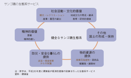 サンゴ礁の生態系サービス