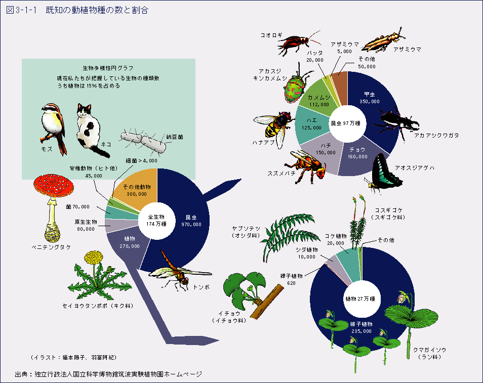 図3-1-1　既知の動植物種の数と割合