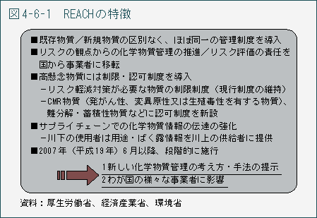 図4-6-1　REACH の特徴