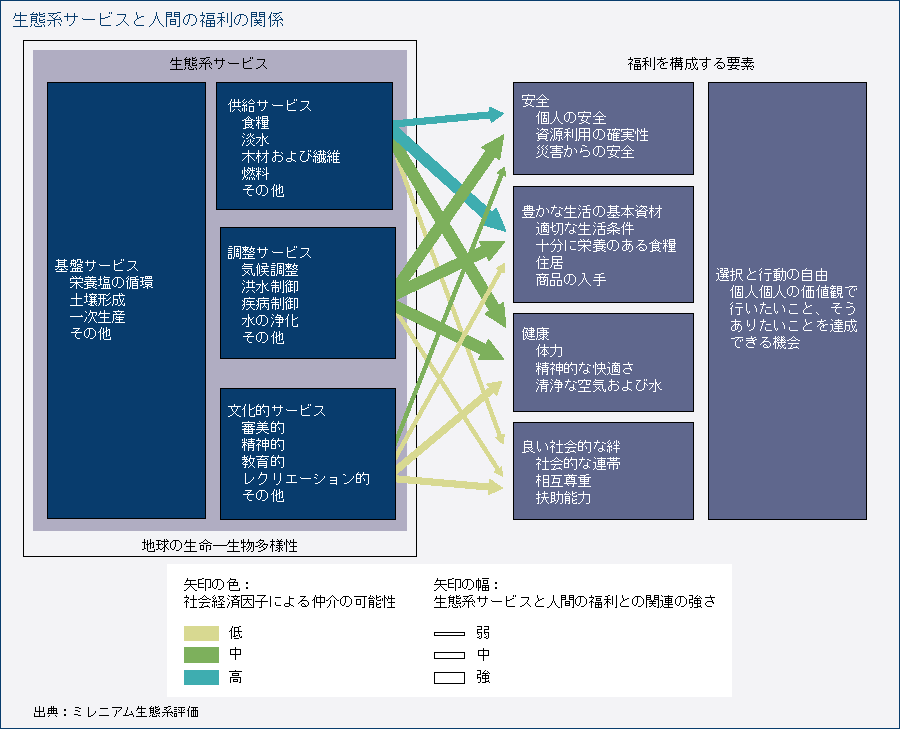 生態系サービスと人間の福利の関係