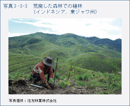 写真3_3_3 荒廃した森林での植林（インドネシア、東ジャワ州）