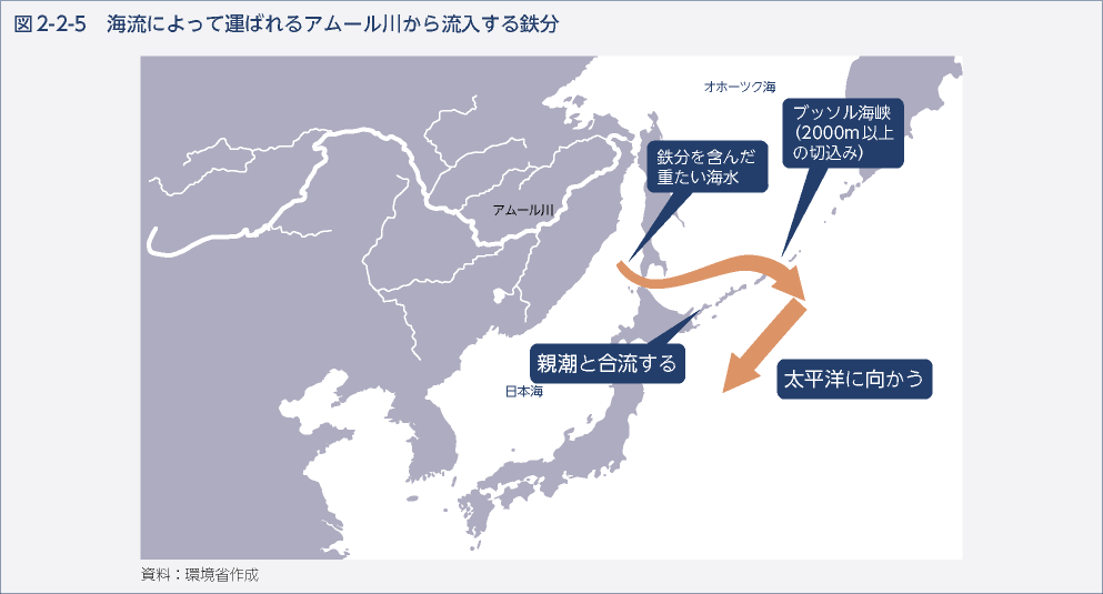 図2-2-5　海流によって運ばれるアムール川から流入する鉄分