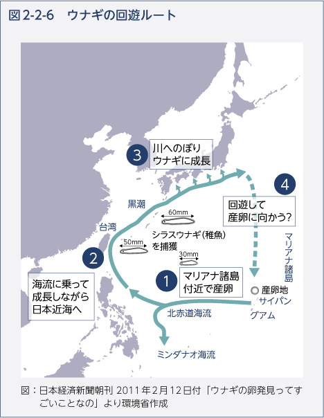 図2-2-6　ウナギの回遊ルート