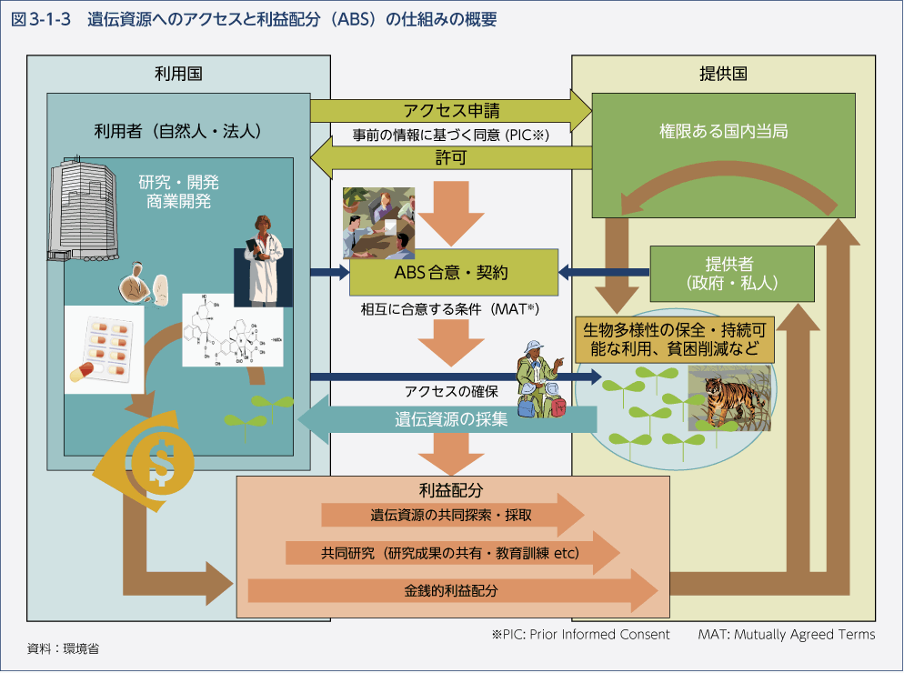 図3-1-3　遺伝資源へのアクセスと利益配分（ABS）の仕組みの概要