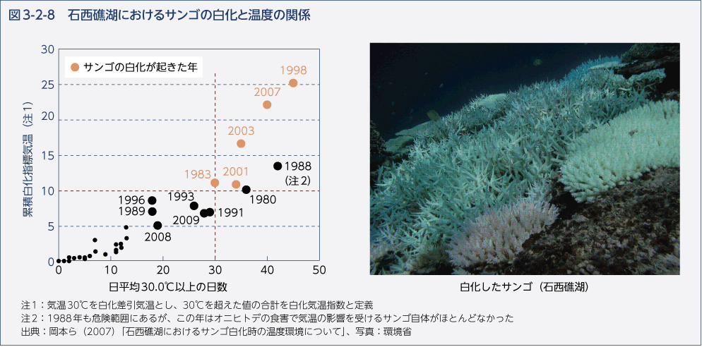 図3-2-8　石西礁湖におけるサンゴの白化と温度の関係
