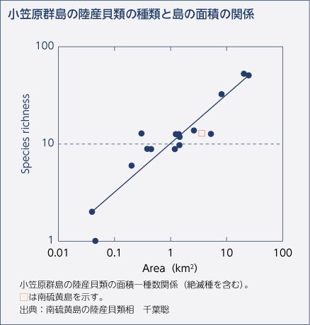 小笠原群島の陸産貝類の種類と島の面積の関係