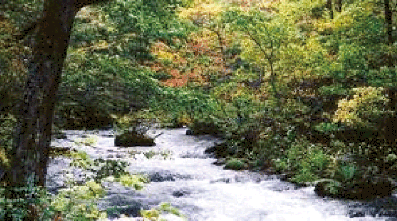 7. 十和田八幡平国立公園