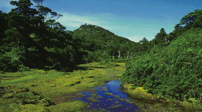 3. 屋久島