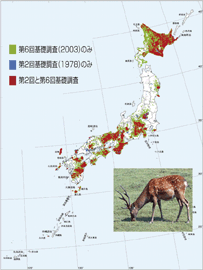 分布図の一例