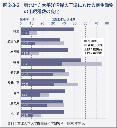 図2-3-2　東北地方太平洋沿岸の干潟における底生動物の出現種数の変化