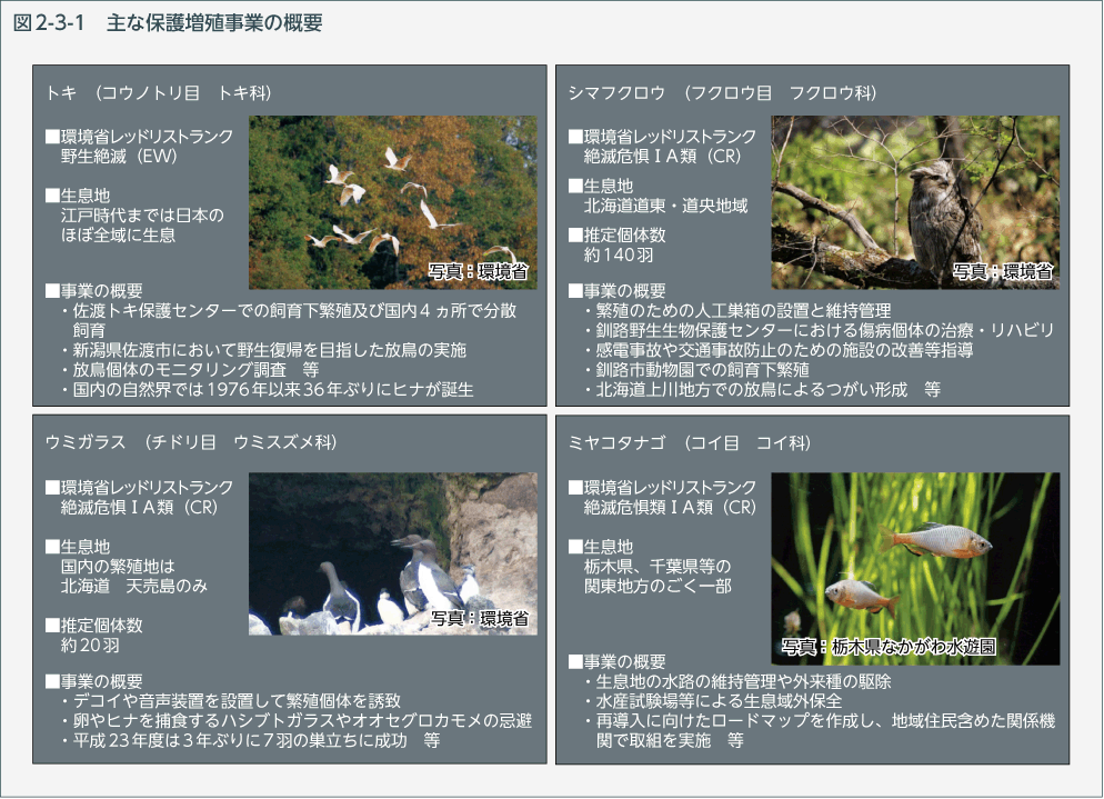 図2-3-1　主な保護増殖事業の概要