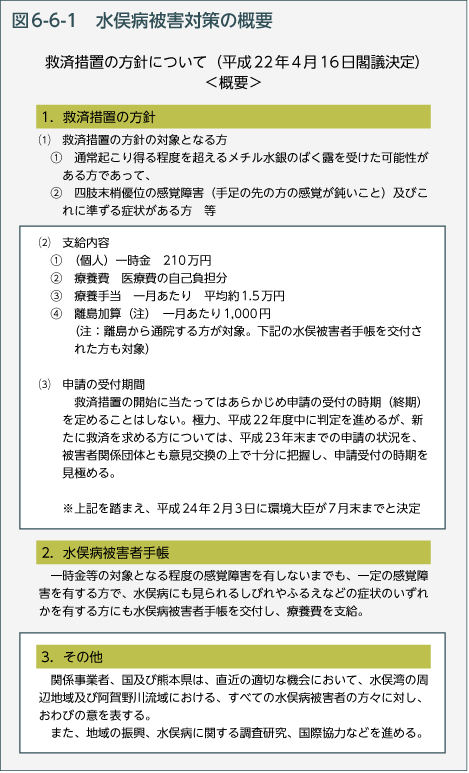 図6-6-1　水俣病被害対策の概要