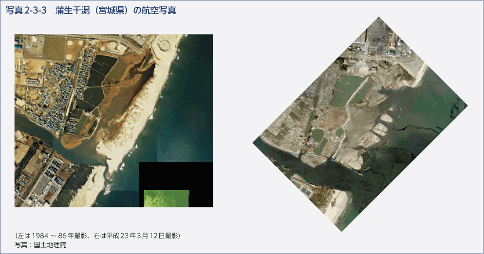 写真2-3-3　蒲生干潟（宮城県）の航空写真