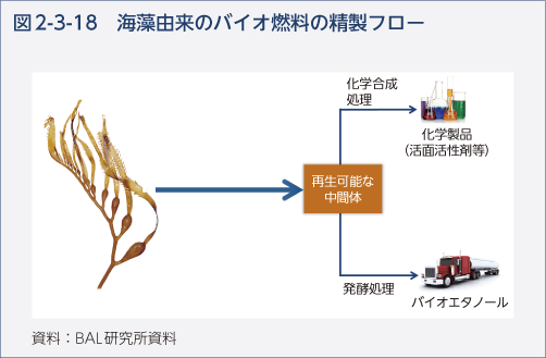 図2-3-18　海藻由来のバイオ燃料の精製フロー