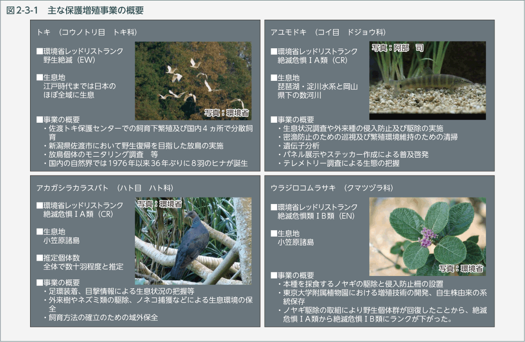 図2-3-1　主な保護増殖事業の概要