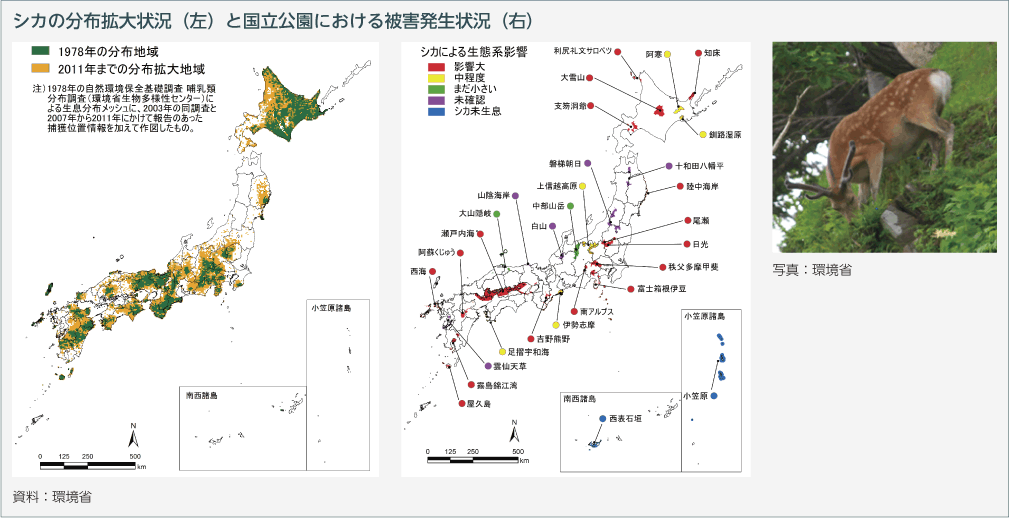 シカの分布拡大状況（左）と国立公園における被害発生状況（右）