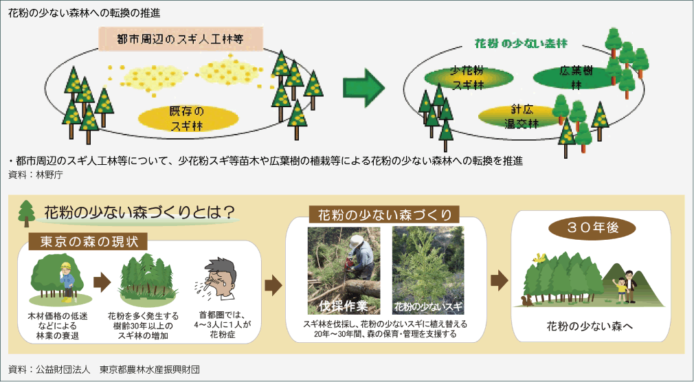 花粉の少ない森林への転換の推進