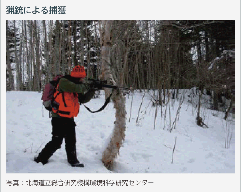 猟銃による捕獲