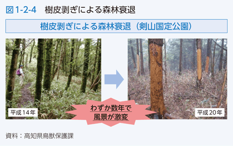 図1-2-4　樹皮剥ぎによる森林衰退