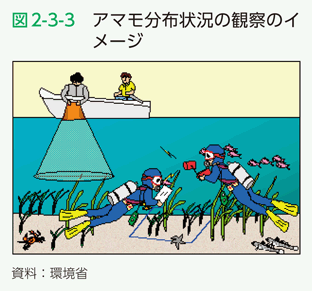 図2-3-3　アマモ分布状況の観察のイメージ