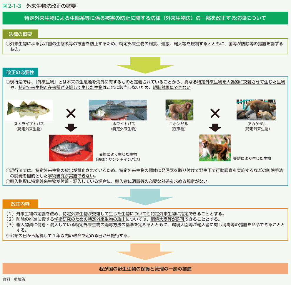 図2-1-3　外来生物法改正の概要