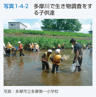 写真1-4-2　多摩川で生き物調査をする子供達