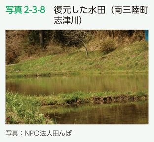 写真2-3-8　復元した水田（南三陸町志津川）