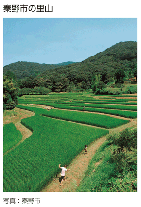 秦野市の里山