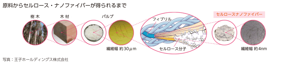 原料からセルロース・ナノファイバーが得られるまで