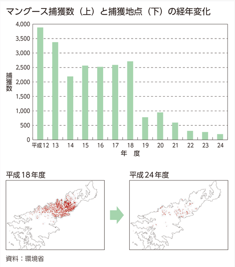 マングース捕獲数（上）と捕獲地点（下）の経年変化