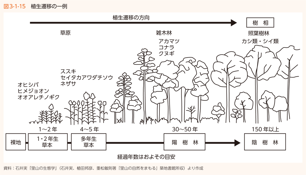 図3-1-15　植生遷移の一例