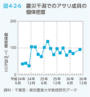 図4-2-6　震災干潟でのアサリ成貝の個体密度